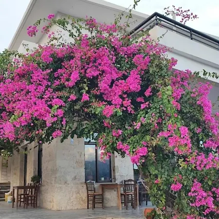 Appartamento Glikanisos House - Ideal For Hikers And Families 2bd, 6pl 10min To Nípos